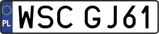 WSCGJ61