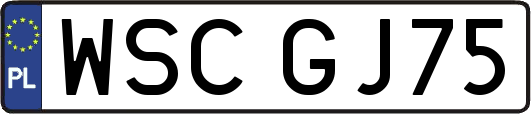 WSCGJ75