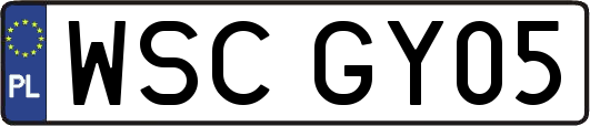 WSCGY05