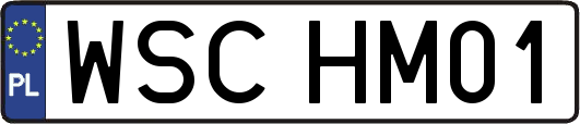 WSCHM01
