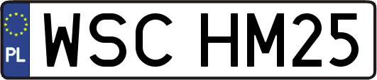 WSCHM25