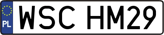 WSCHM29