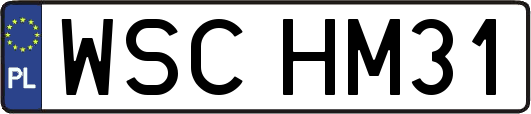 WSCHM31