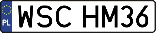 WSCHM36
