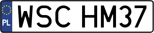 WSCHM37