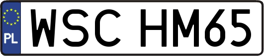 WSCHM65