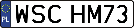 WSCHM73
