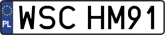 WSCHM91