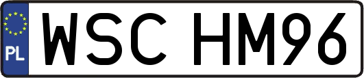 WSCHM96