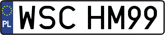 WSCHM99