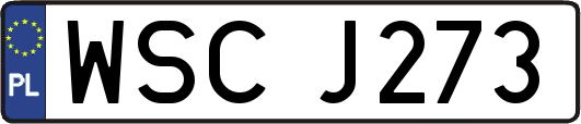 WSCJ273