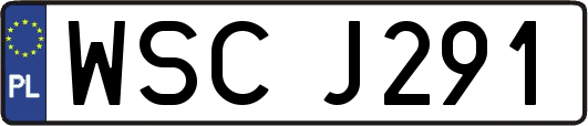WSCJ291