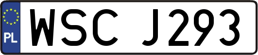 WSCJ293