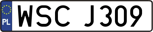 WSCJ309