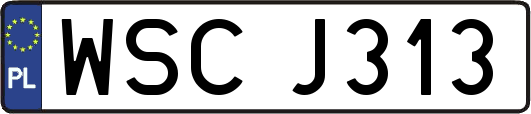 WSCJ313
