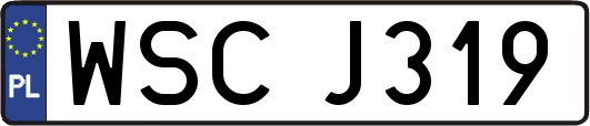 WSCJ319
