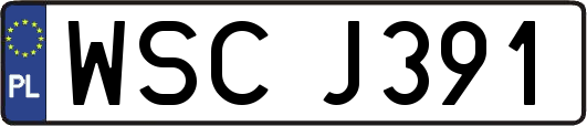 WSCJ391