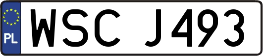 WSCJ493