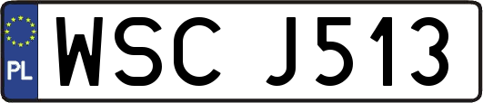 WSCJ513