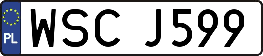WSCJ599