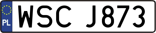 WSCJ873