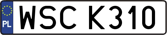 WSCK310