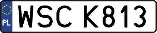 WSCK813