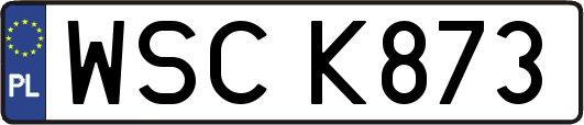 WSCK873