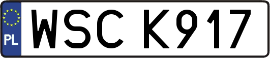 WSCK917