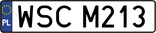 WSCM213