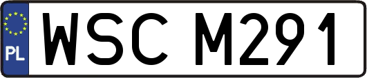 WSCM291