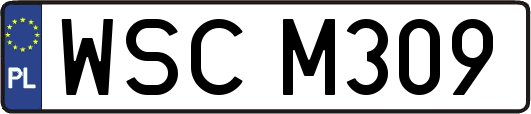 WSCM309