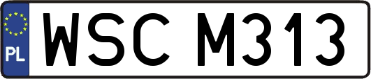 WSCM313