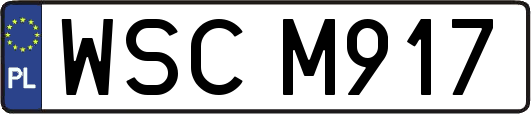 WSCM917