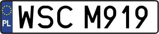 WSCM919