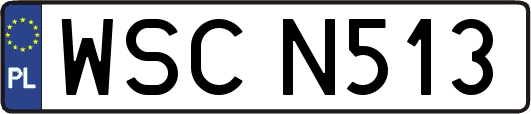 WSCN513