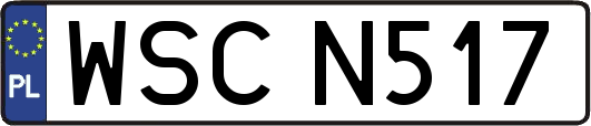 WSCN517