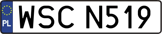 WSCN519