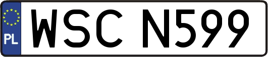 WSCN599