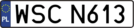 WSCN613