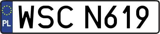 WSCN619