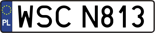 WSCN813