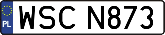 WSCN873