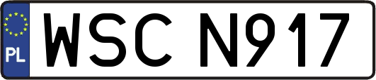 WSCN917