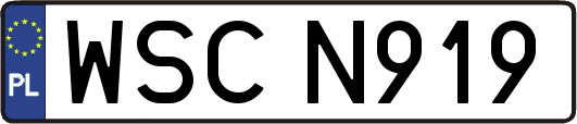 WSCN919