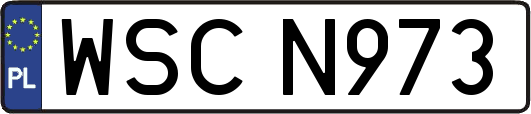 WSCN973