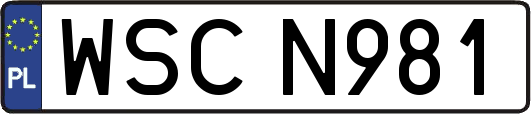 WSCN981