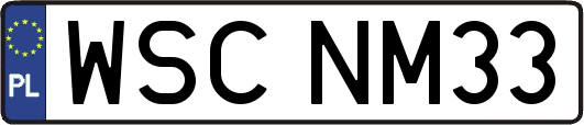 WSCNM33