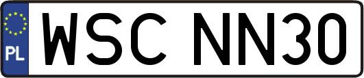 WSCNN30