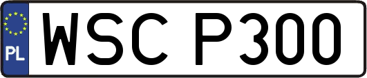 WSCP300